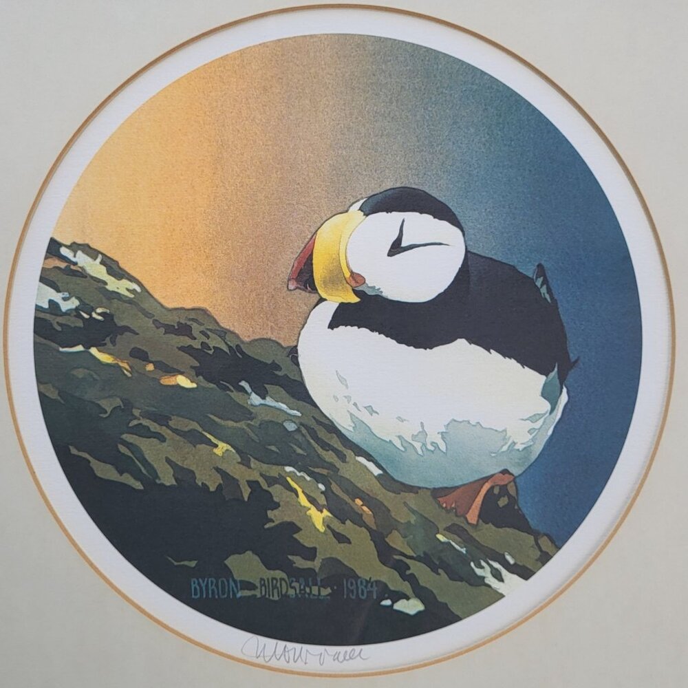 1984 Byron Birdsall Print of Puffin Seabird - Alaska Artist 14.5" x 14.5"